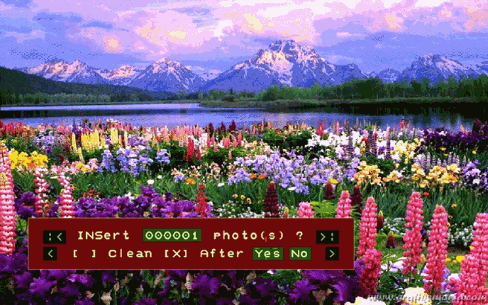 ANIM32 V.1.24 and ANIMEDI V.7.68+ Image