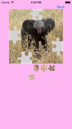 Elephants Jigsaw Puzzles with Photo Puzzle Maker screenshot