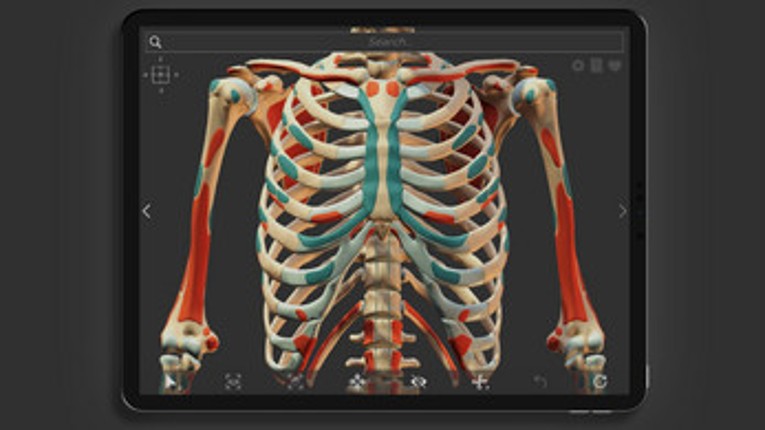 Z-Anatomy - Open Source 3D Atlas Image