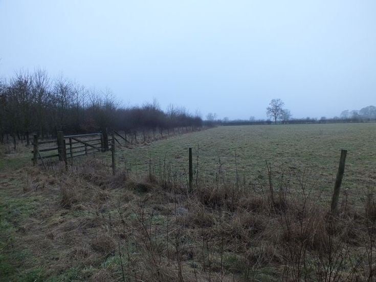 Games like Missing My Friends