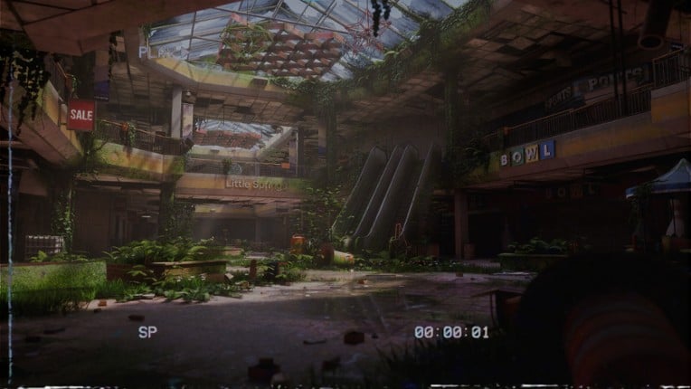 The Oldest View: Rolling Giant Image