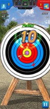 Archery 2024 Image