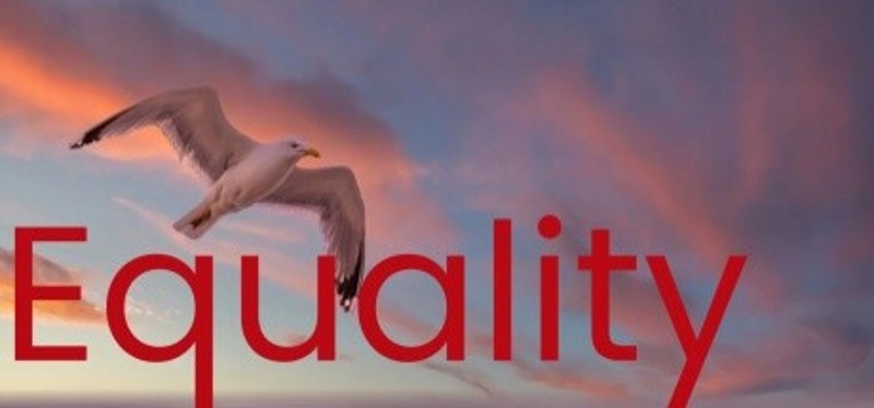Equality Image