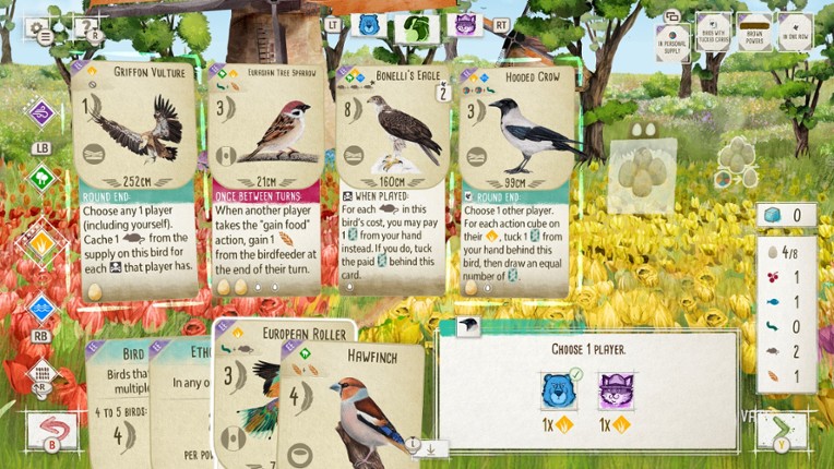 European + Oceania + Asia + Decorative Packs screenshot