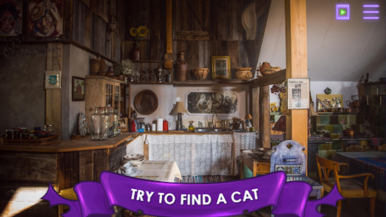 Find a Cat: Hidden Object Image