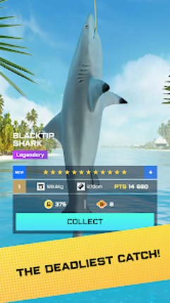 Fishing Tour screenshot