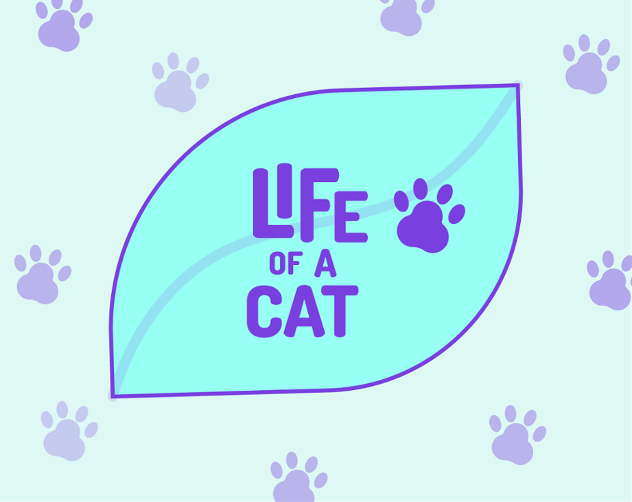 Games like LIFE OF A CAT