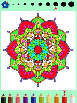 Mandala coloring book - for adults Image