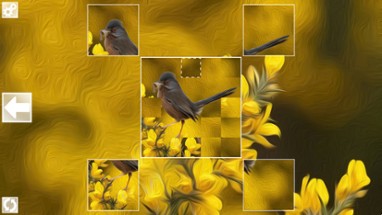 Puzzle Art: Birds Image