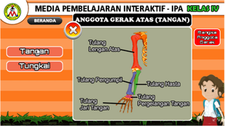 Rangka Manusia screenshot
