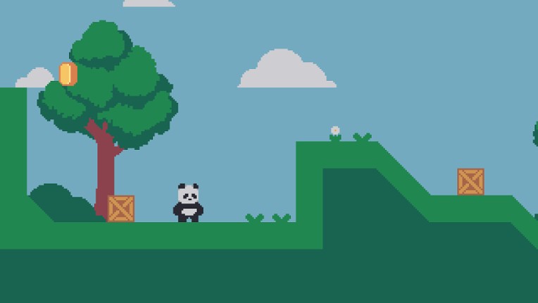 CoderBear screenshot