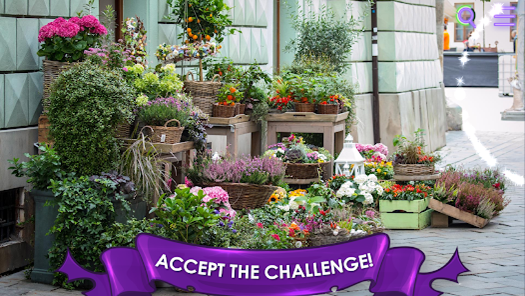 Find a Cat: Hidden Object screenshot