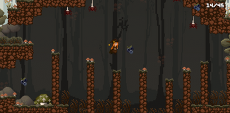 Little friend lost in the woods Image