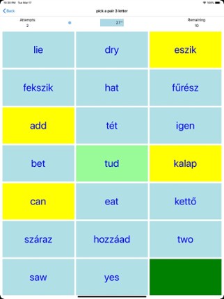 PickAPair Hungarian - English Image