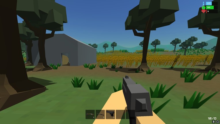 Primitive Survival Image
