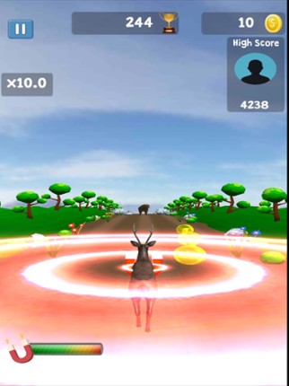 Running Pets Image