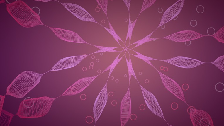 Zen Trails screenshot