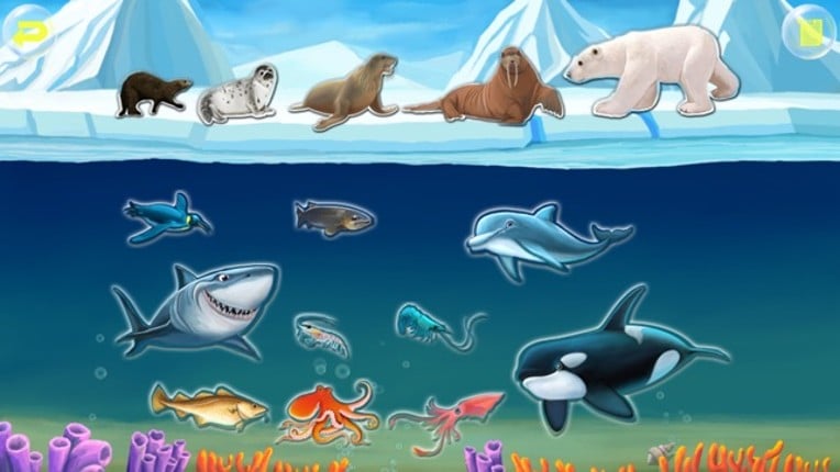 Amazing Ocean Animals- Educational Learning Apps for Kids Free Image