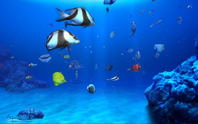 DigiFish Aqua Real 2 screenshot