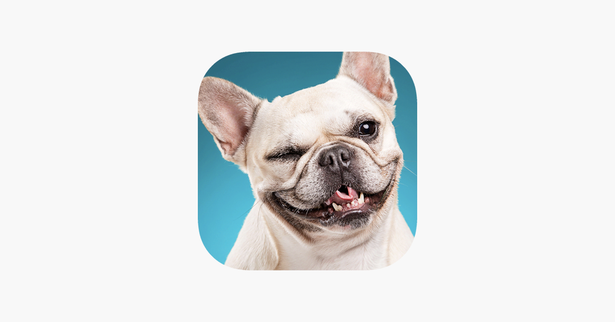 Games like Dog Breed Training: Pet Trivia