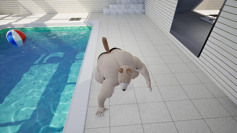 StrangePool screenshot