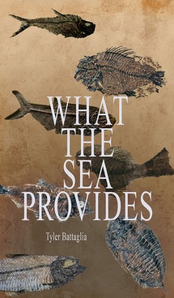 What the Sea Provides Image