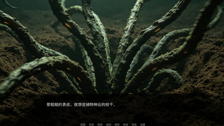 生物实验室：畸变实验记录 Image