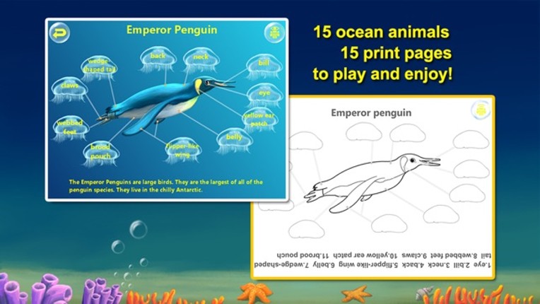 Amazing Ocean Animals- Educational Learning Apps for Kids Free screenshot