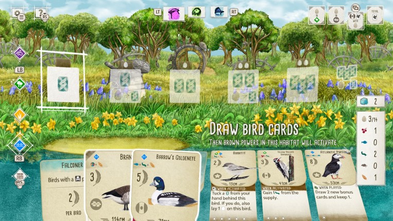 European + Oceania + Asia + Decorative Packs Image