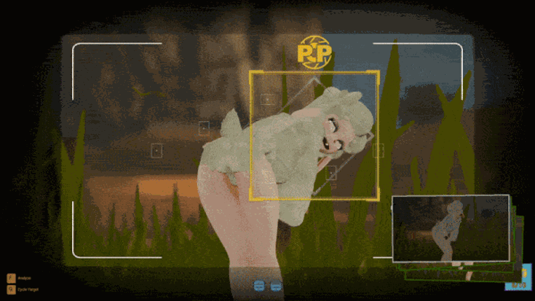 Sapphire Safari Image