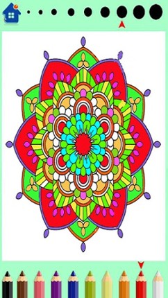 Mandala coloring book - for adults Image