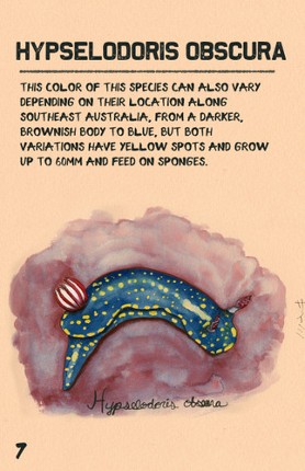 Nudivember 2025:  30 Days of Nudibranchs Image
