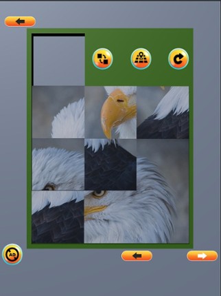 Picture Slice Puzzle screenshot