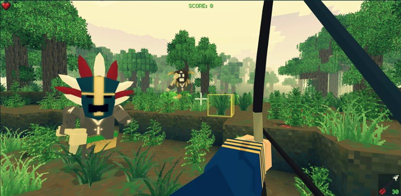 PIRATECRAFT screenshot