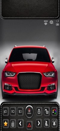 Private car experience Image