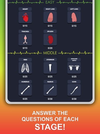 Anato Trivia - Quiz Anatomía Image