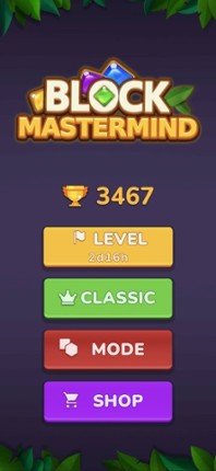 Block 1010 : Classic & Hexagon Image