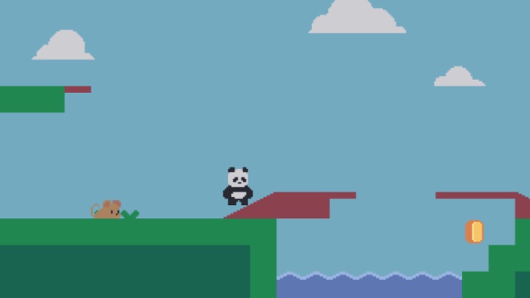 CoderBear screenshot