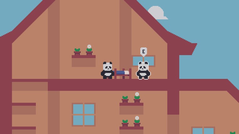 CoderBear screenshot