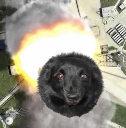 Dog Missile Barrage Image