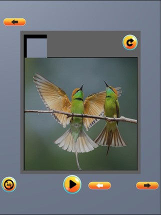 Picture Slice Puzzle screenshot