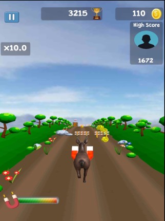 Running Pets Image