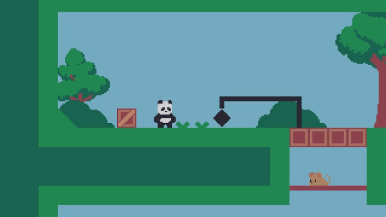 CoderBear screenshot