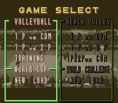 Dig & Spike Volleyball Image