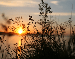 Games like MagaraJam23 <Oyunİsmi>