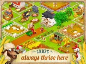 Hay Day Image