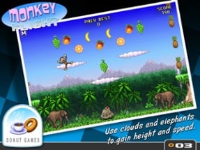 Monkey Flight Image