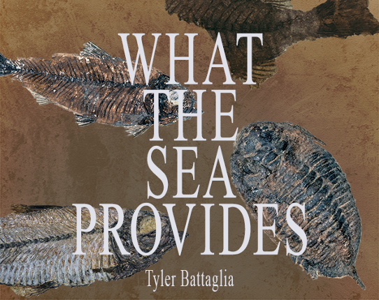 What the Sea Provides Image