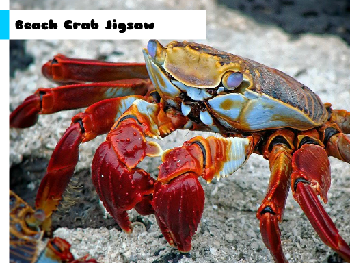 Games like Beach Crab Jigsaw