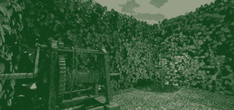 BloomUnder screenshot